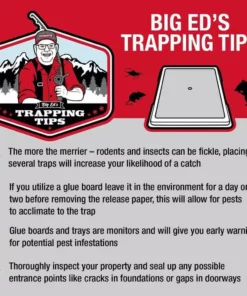 Catchmaster® Multi-Catch™ Mouse Trap -Farm & Ranch best sale 0042773 3