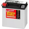 Magna Power Power Sport AGM Battery 220 CCA