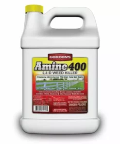 Gordon's Amine 400 2,4-D Weed Killer